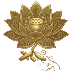 Decorative gold lotus flower with roots on a transparent background